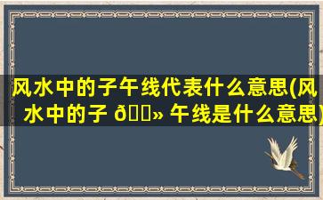 风水中的子午线代表什么意思(风水中的子 🌻 午线是什么意思)